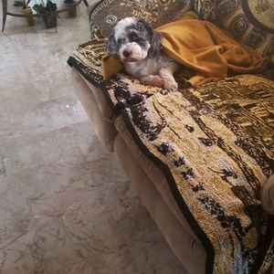 Meet your Posher, Erika